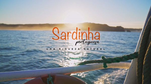 Sardinhas