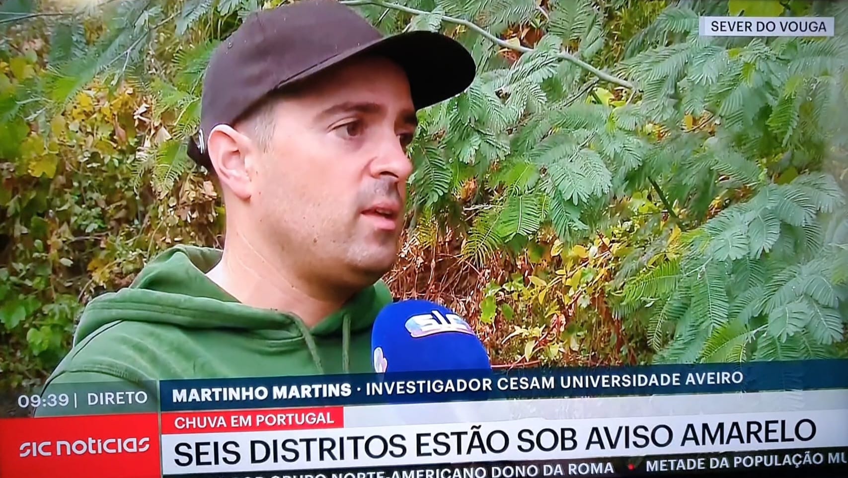 Impacto da chuva nas áreas ardidas – Investigador do CESAM/DAO na SIC